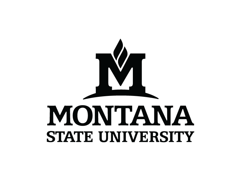 Black MSU logo