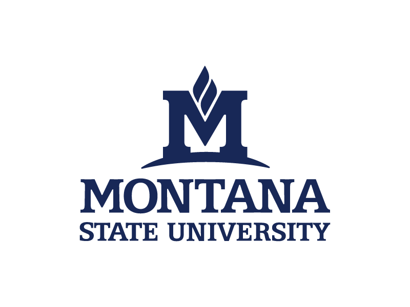 Blue MSU logo