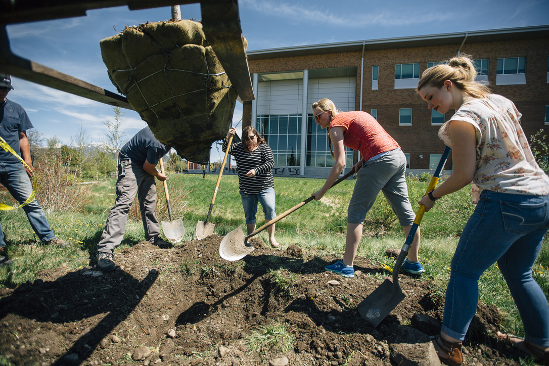 A group of people planting trees