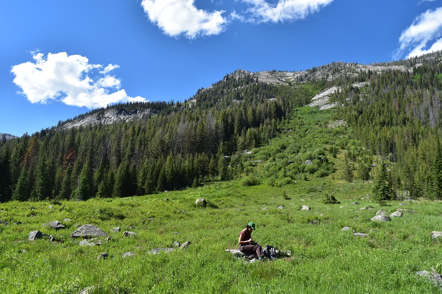 Bitterroot basin project