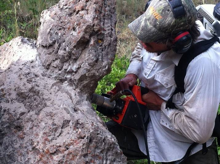 The outcrop is an ancient reef built by now extinct sponges called “stromatoperoids.”  These beds have significant porosity and permeability which made them potential targets of the disposal of CO2 emissions.