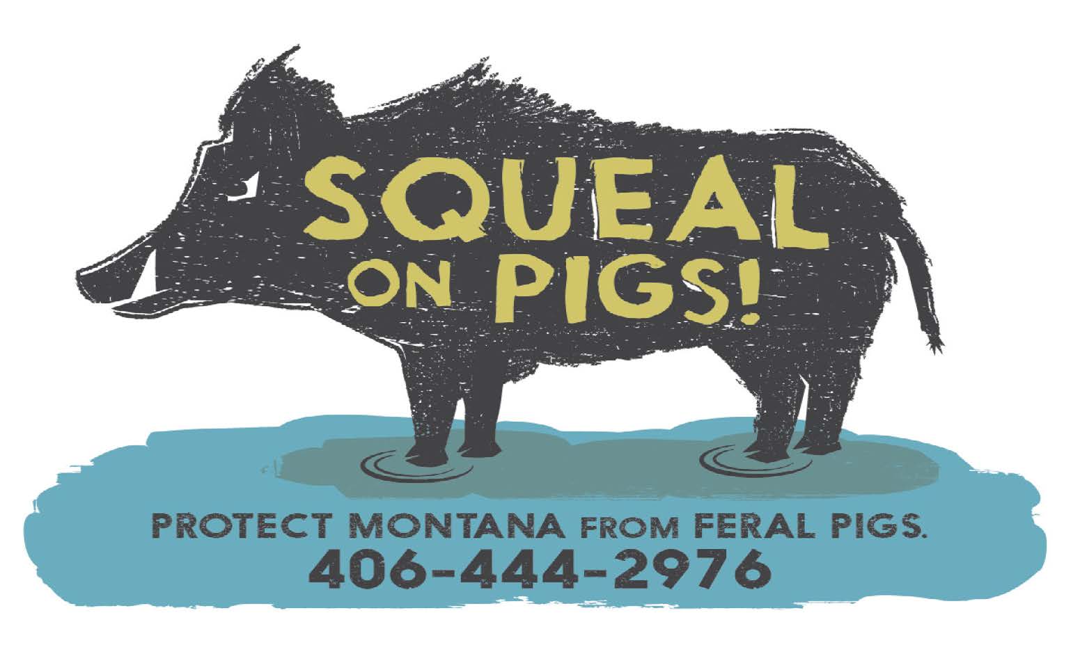 Logo with feral pig shape and Squeal on Pigs text