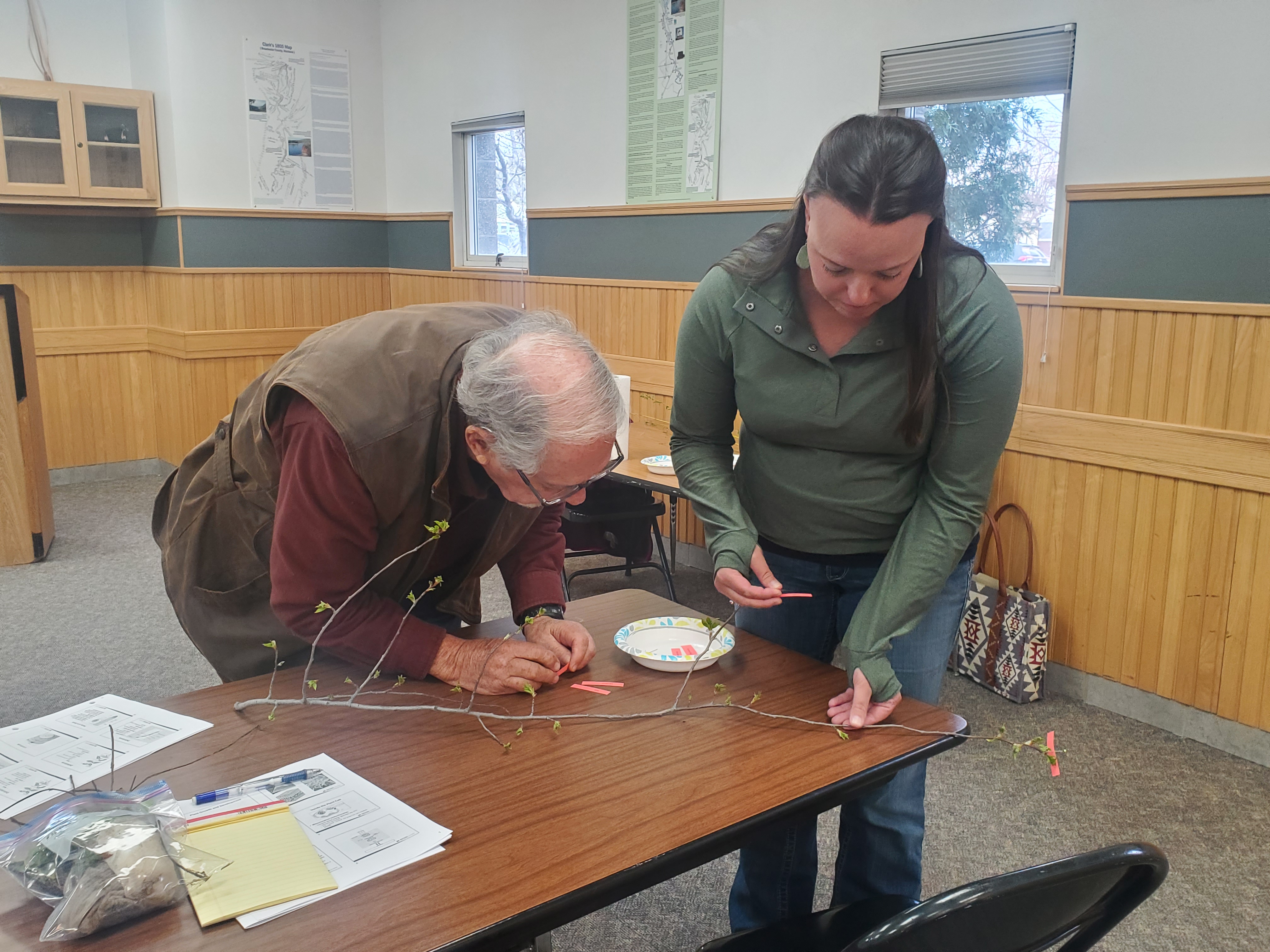 Class participants complete an activity to identify parts of a branch.