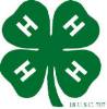 Green 4-H Clover