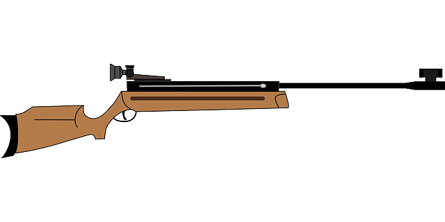 air rifle