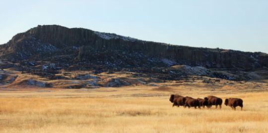 Snake Butte lies on the northern part of the Fort Belknap Reservation.