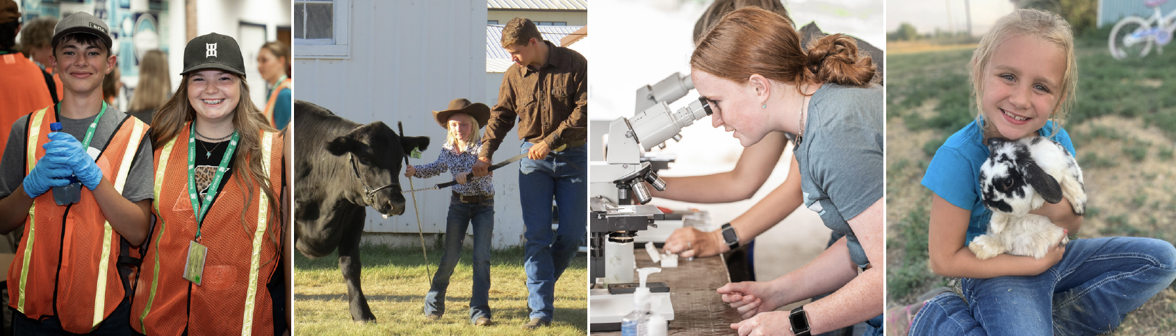 Four images make up the banner. Image one is a boy and a girl in orange vests. Image two is a dad helping a young girl practice showmanship with her black steer. Image three is a girl looking into a microscope lense. Image four is a young girl holding a black and white rabbit.