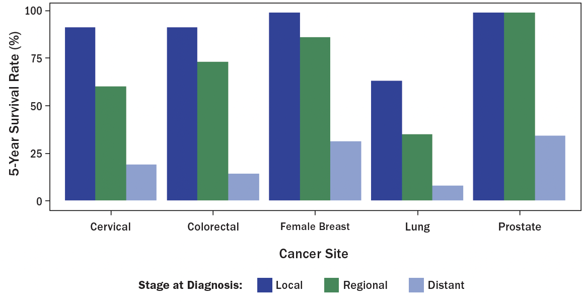 A bar graph with the X axis main title reading Cancer Site and the subtitles on the graph reading: Cervical, Coloorectal, Female Breast, Lung, and Prostate. The Y axis main title reads %-Year Survival Rate (%) with numbers ranging from 0 to 100. There are three bars in each section each one representing a different Stage at Diagnosis: Local is Blue, Regional is green, and Distant is purple. Prostate has the highest bars in local regional, and distant, and lung has the lowest of the three.