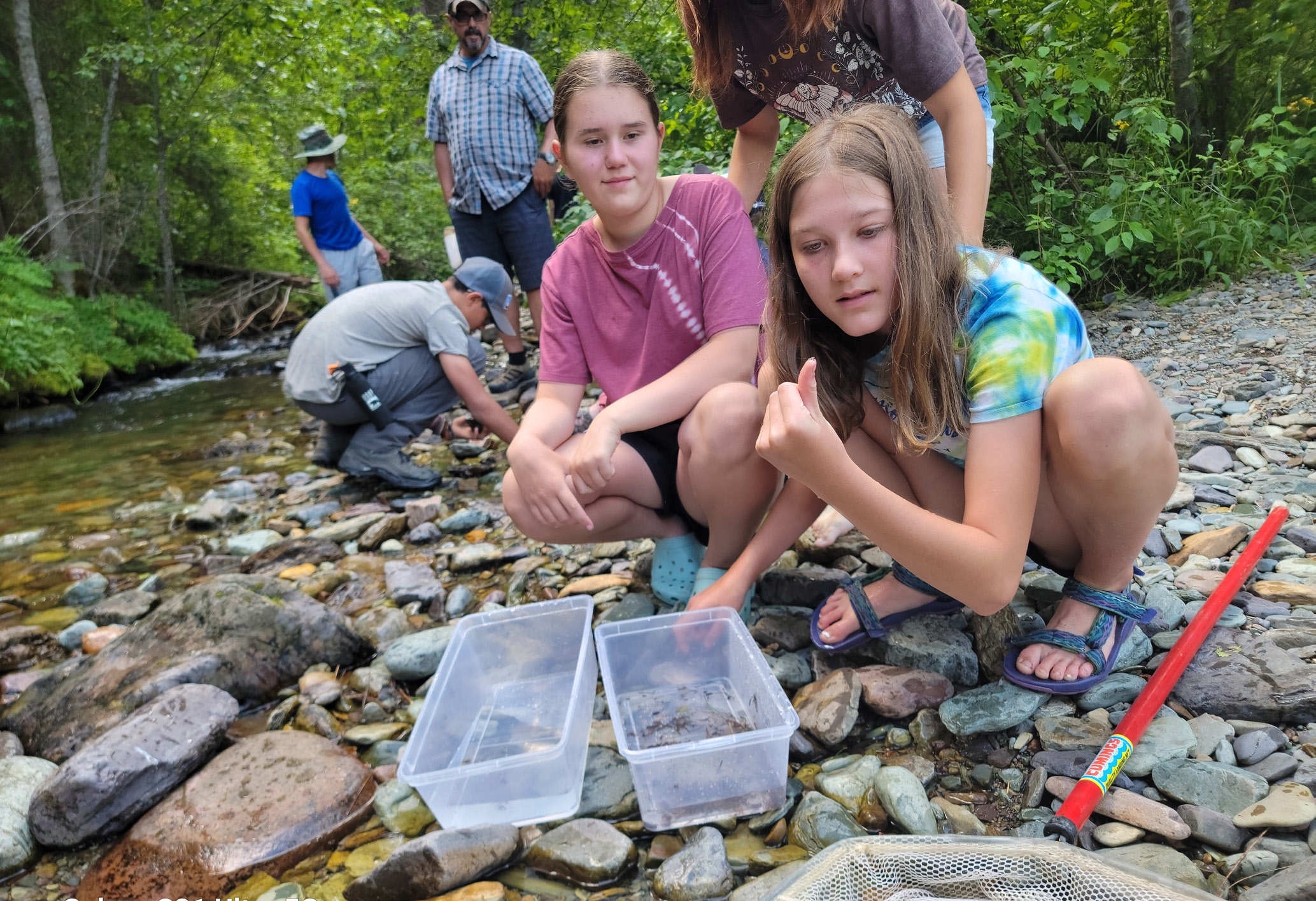 A couple of young girls search for bugs along side a creek with plastic tubs and nets.