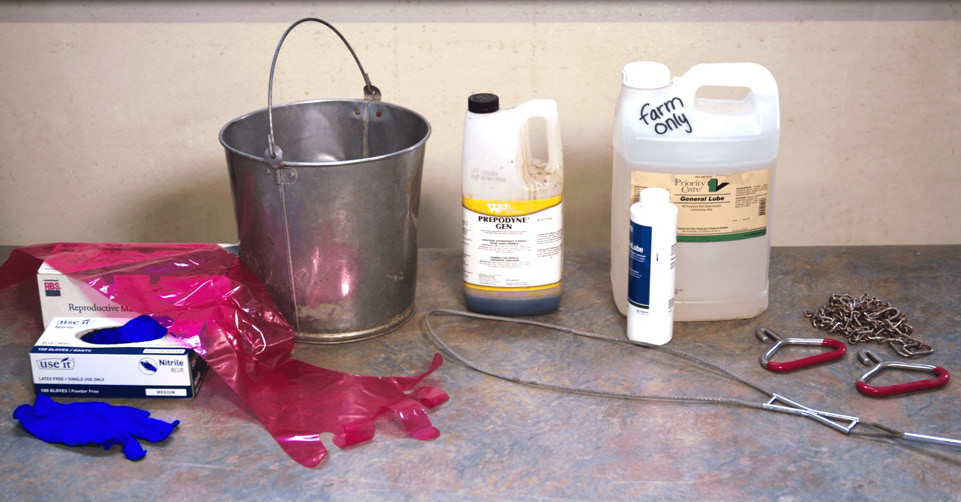 A silver bucket, bottles, pink gloves, and silver chains.