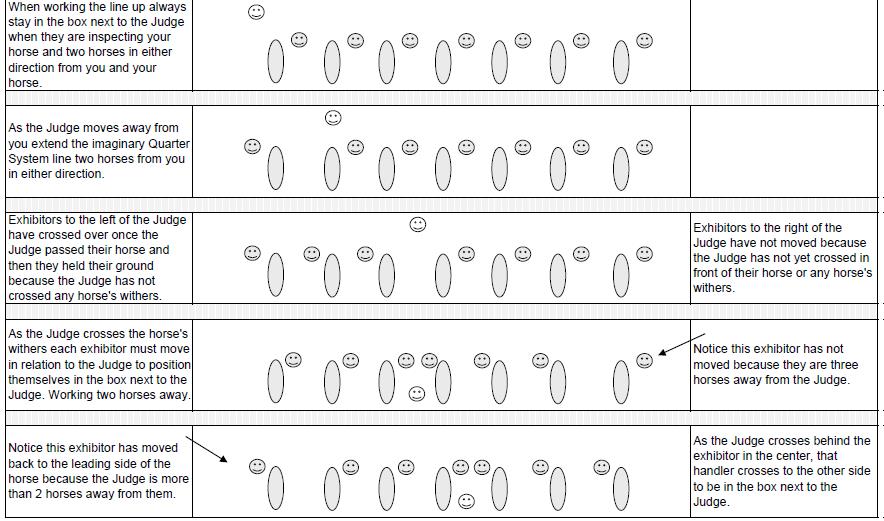 example of judge as moves through line up of horses