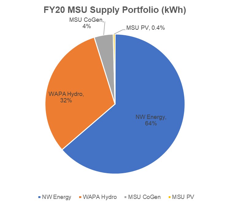 FY20 MSU Supply Porfolio