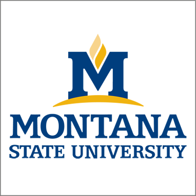 Montana State University logo