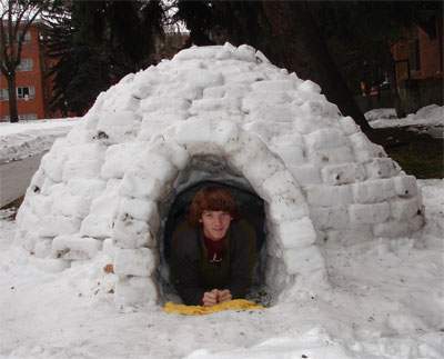 montana state university honors igloo