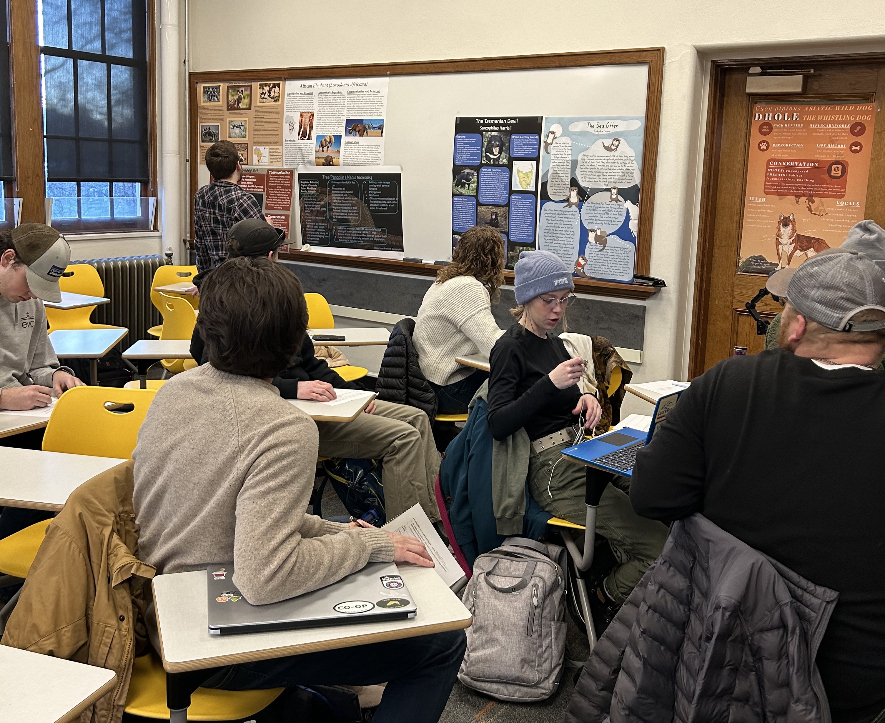 Students viewing other projects