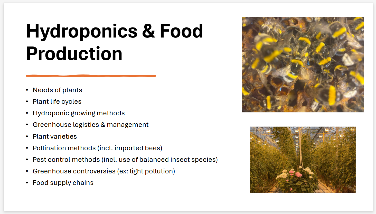 slide 5