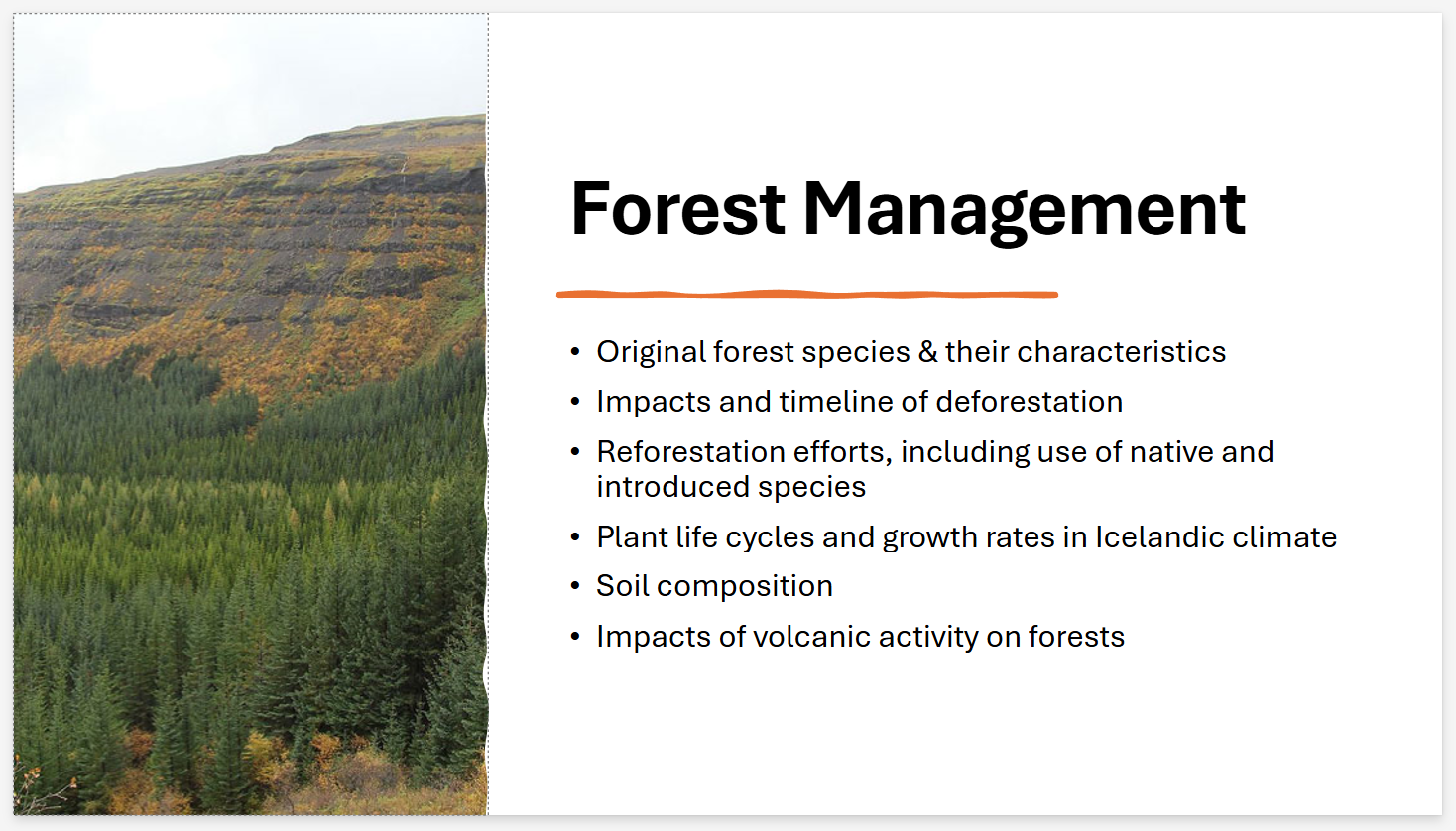 slide 8