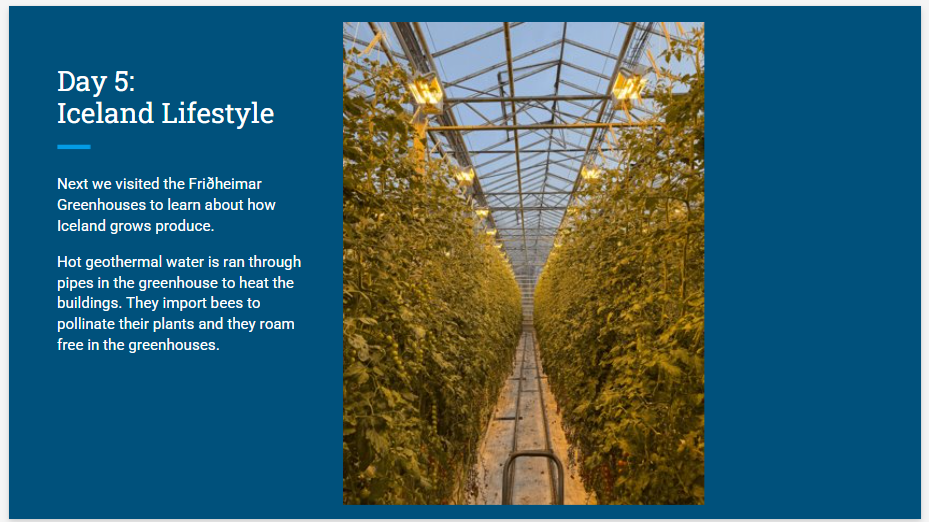 slide 16
