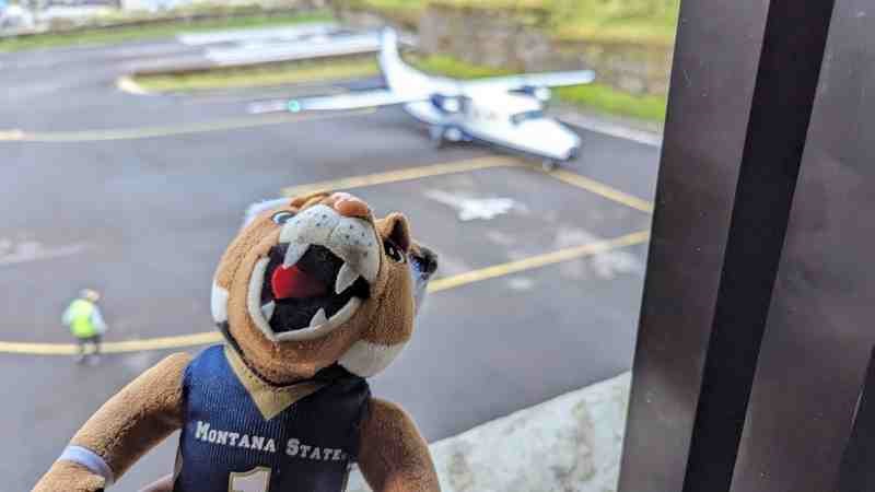 Champ the Bobcat sits at an airport window with an airplane in the background.