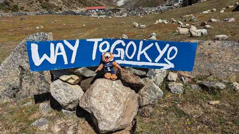 Champ the Bobcat sits in front of a sign pointing the way to Gokyo.