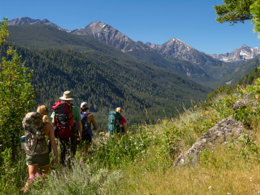 students hiking