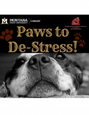 paws to de-stress