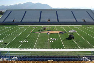 Bobcat on new stadium turf