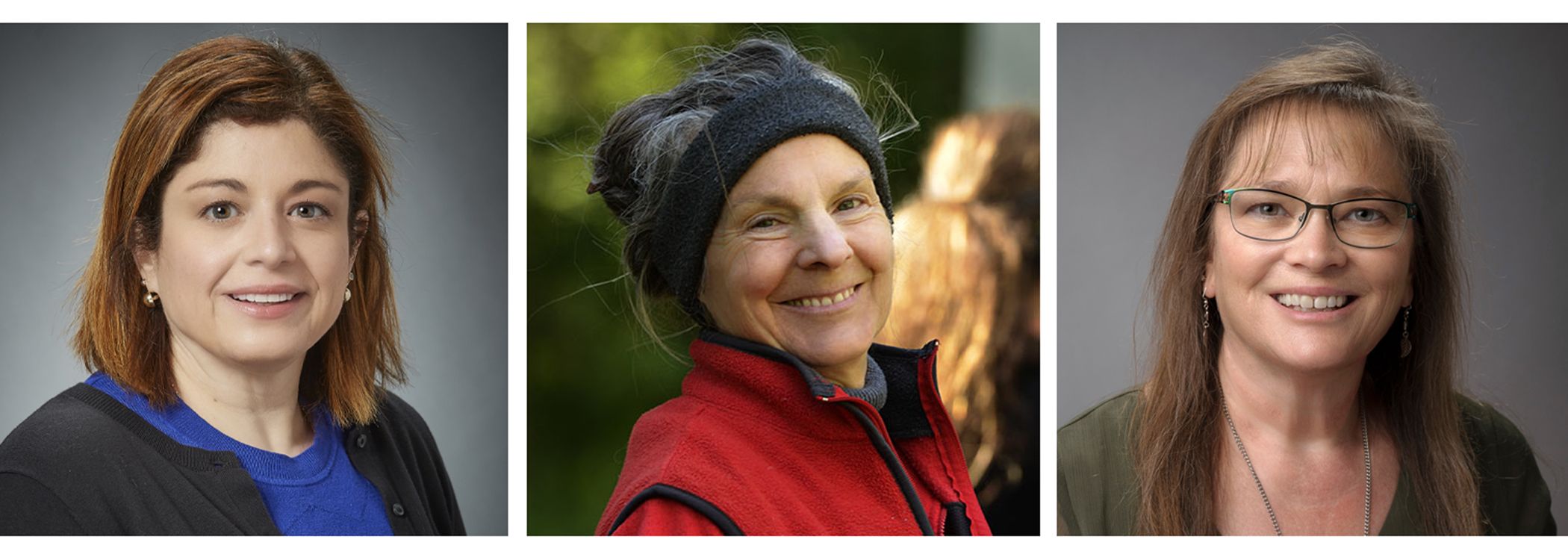  Bernadette Diaz, Lynn DiGennaro, and Dana Doney 