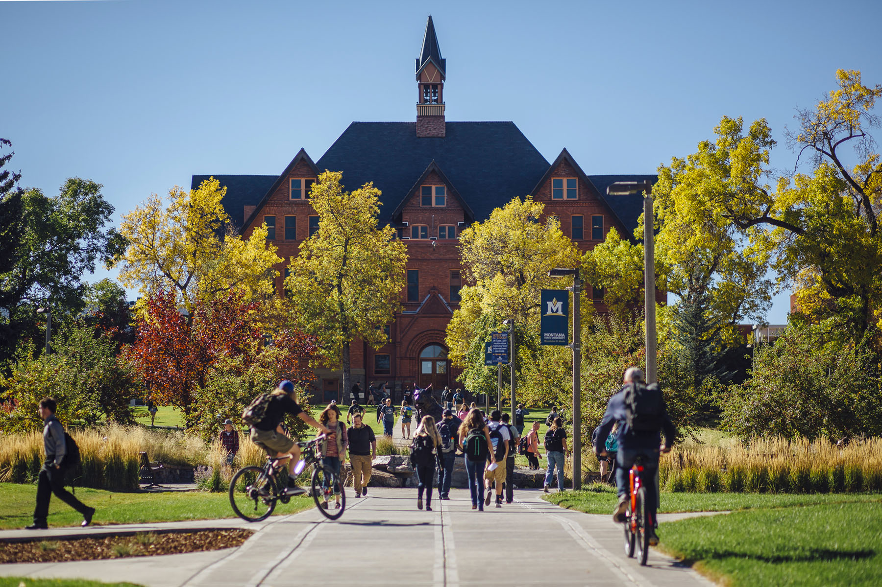 Montana Hall with orange trees