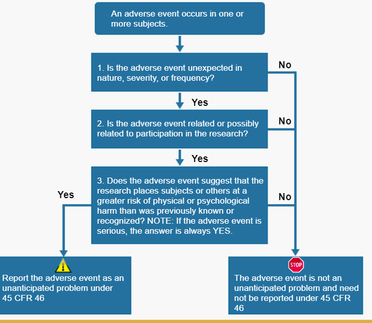 Adverse Event Decision Tree