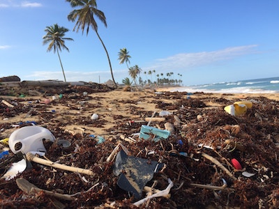 plastic waste mixed with seaweed on a tropical beach