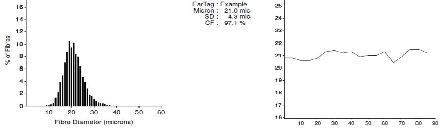 Two graphs are shown